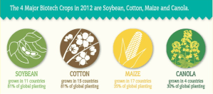 ISAAA-Major-GMO-Crops