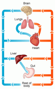 04271685df038d771ccc21d7a0759d3b68d11e4f