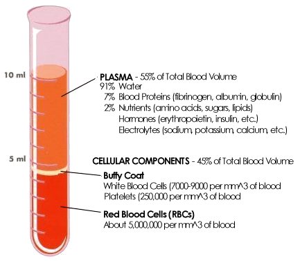 blood-composition