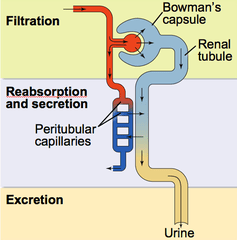 dj-GFjZY8vL6TUpkjWLw3A_m