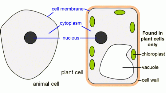 f9468650f741d0b706b56c467eb28b4e02cef04d