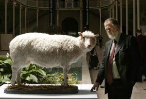 dolly-national-museum_680x462