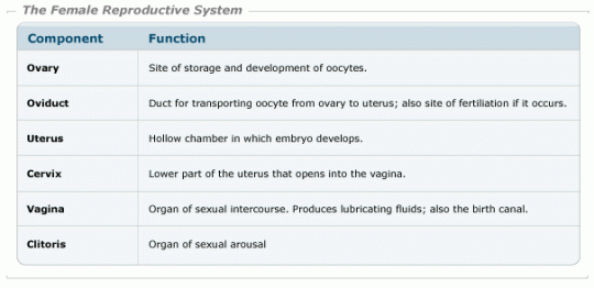 female_reproductive_table