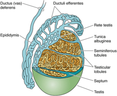 fTdncmfmBWuUzelsDXJVcA_m