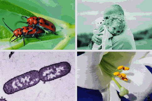 main-qimg-ae9b489263e7f46e0f34f0f3bd41c1e2