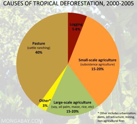 causes-of-tropical-deforestation