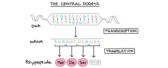 2b597889d05bc601803a3b4d9ec5ccd5e7b8d3af