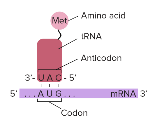 c5957e0217ce7123259c1918c2f8b337b08783a0